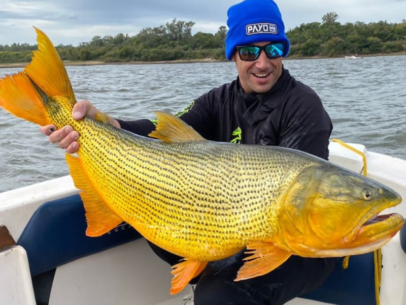 Argentina, Pescaria, Dourado