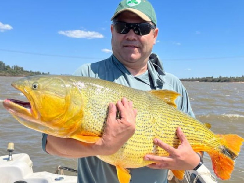 Argentina, Pesca, dourado