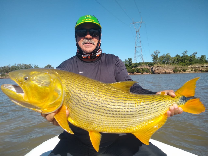 Pescaria, Dourado, Argentina